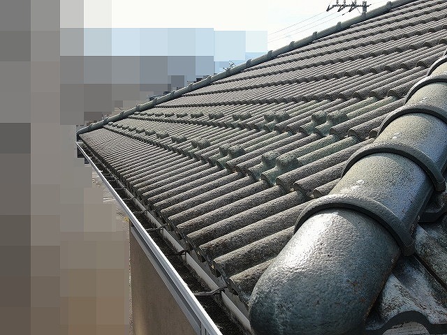 屋根と軒樋の状態