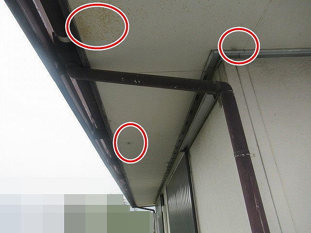 西八代郡市川三郷町で軒天に汚れが付着している様子(黒ずみ・カビ)