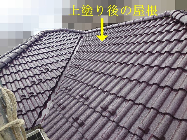 上塗り後の屋根全景