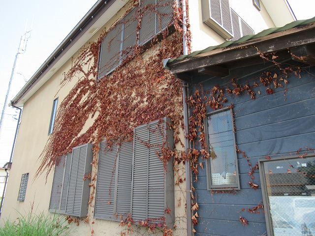富士河口湖町でツタが発生した住宅の塗装のお見積りに伺いました