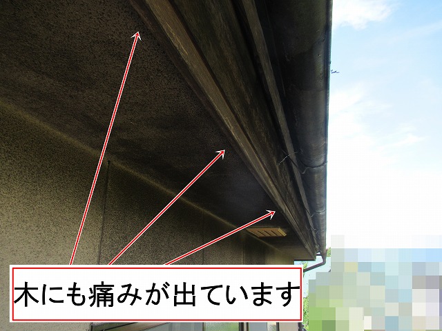 甲斐市　軒天　木部はキシラデコールで塗装