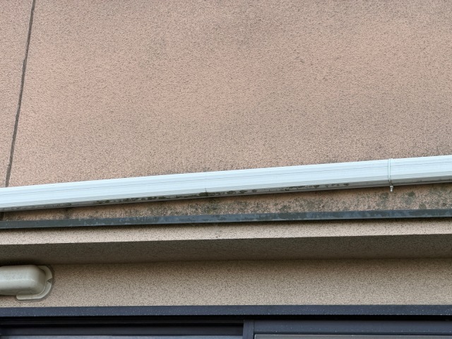 松原市別所のI様邸 庇(ひさし)の板金部分と外壁に広がる黒いコケ・藻の汚れ