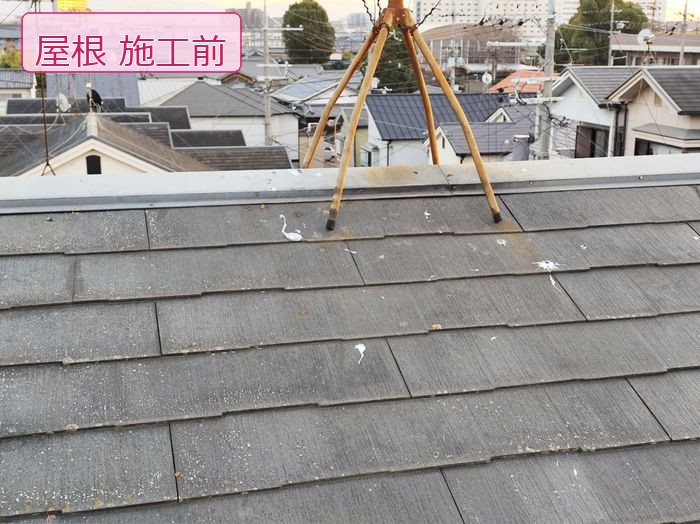 松原市別所のO様邸 施工前の屋根全景 スレート表面に白い苔斑点が多数付着している状態