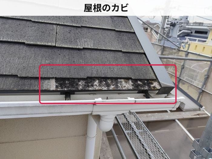 八尾市高安町南のM様邸 屋根スレート軒先のカビ・黒ずみ　施工前の状態