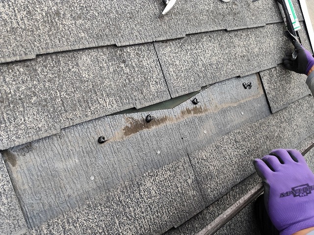 カラーベスト差し替え