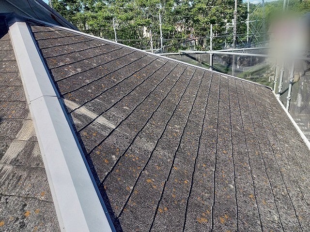 神戸市北区にてコケ・カビの発生したスレート屋根(カラーベスト)の高圧洗浄をしました