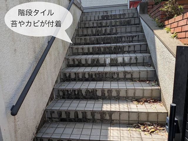 階段タイル 黒い汚れ付着