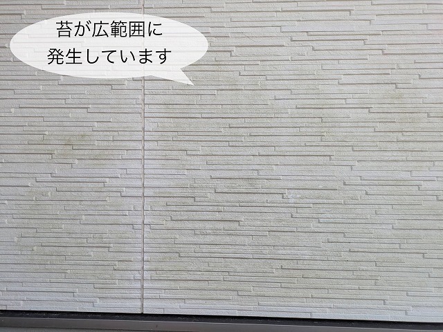 窯業系サイディング外壁 苔の発生