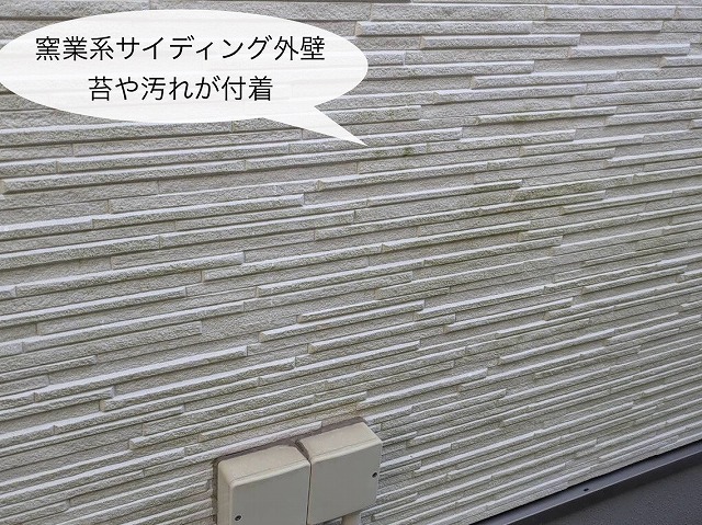 窯業系サイディング外壁 苔の発生