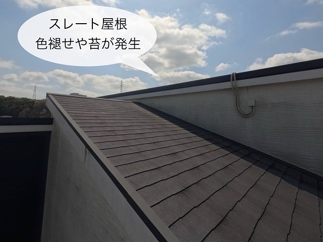 現地調査 スレート屋根 色褪せ