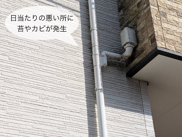 現地調査 窯業系サイディング外壁 苔汚れ付着