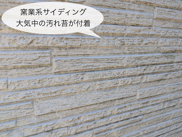 現地調査 窯業系サイディング外壁 苔汚れ付着