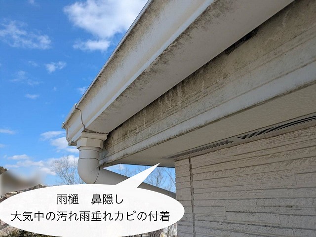 現地調査 雨樋 鼻隠し 汚れ付着