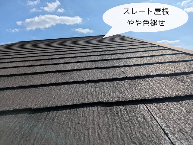 現地調査 屋根 色褪せ