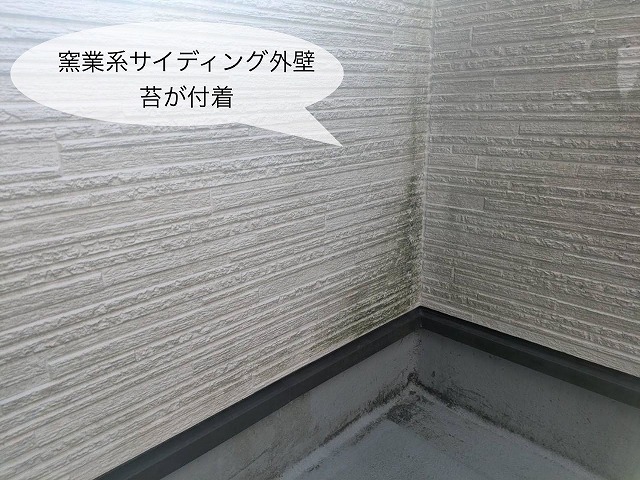 現地調査 窯業系サイディング外壁 苔汚れ付着