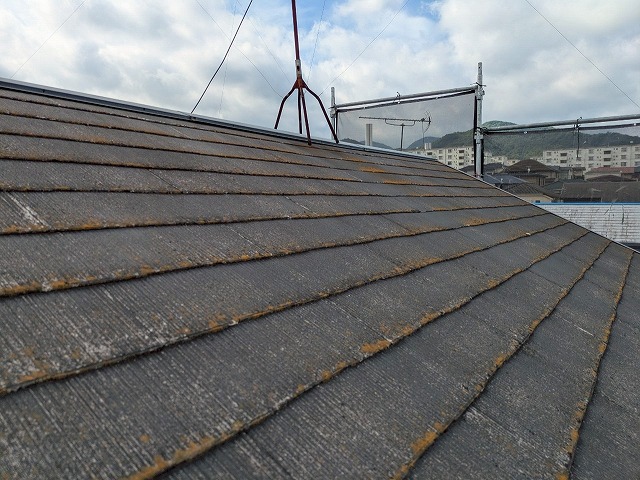 屋根　施工前