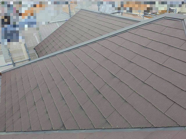施工前 屋根 現状 苔黒ずみ
