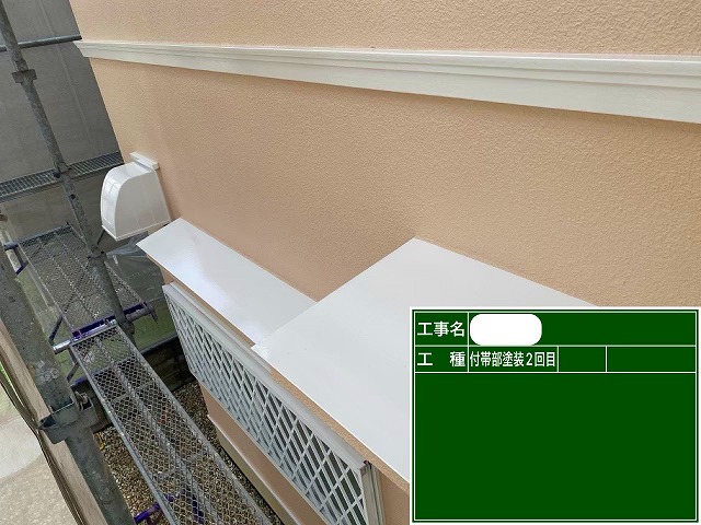 付帯部2回目　ファインパーフェクトトップ　