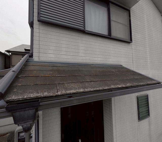 現場調査　屋根　現状　カビ苔