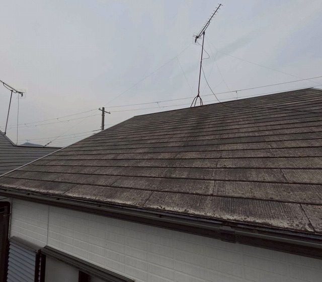 現場調査　屋根　現状　カビ苔