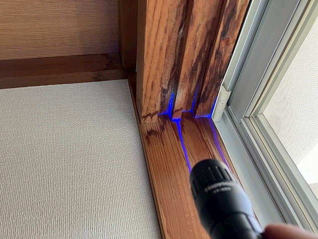 別の場所での調査写真