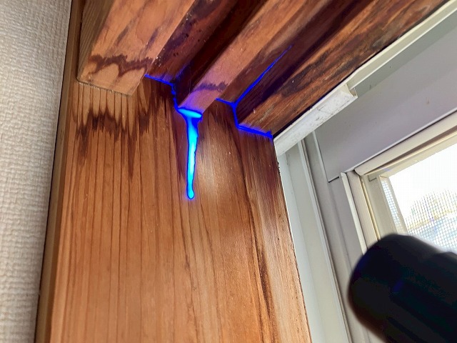 レインボービューシステムでの調査写真