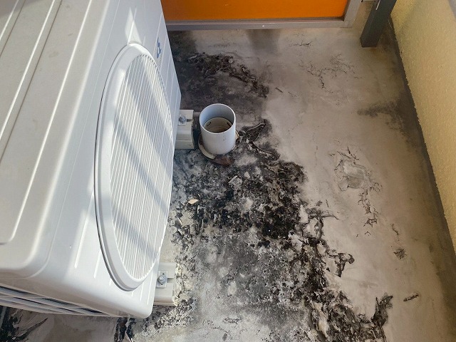 排水口周辺の防水劣化