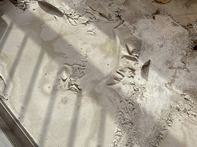 防水層の膨れと剥がれ