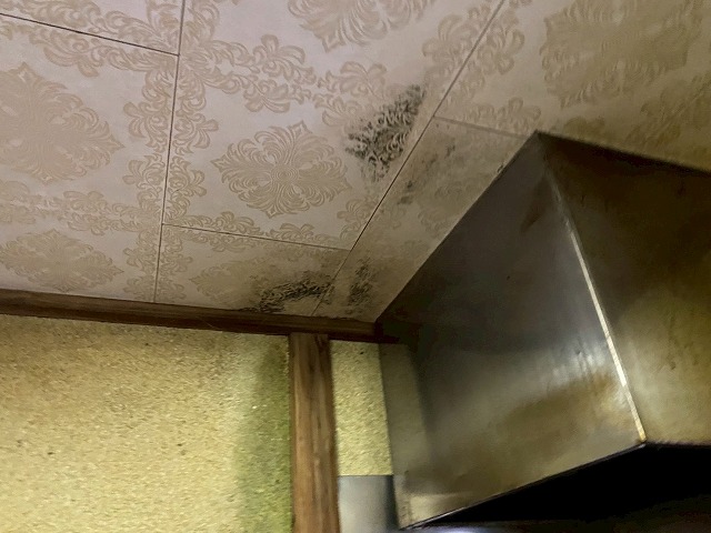 つくば市　木造二階建てで発生した雨漏りと天井カビの原因とは？屋根瓦のズレ・軒天劣化が招くリスクを徹底現調