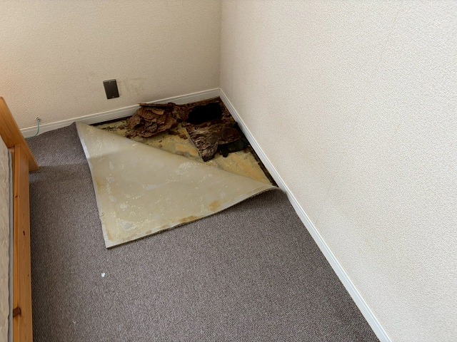床の写真
