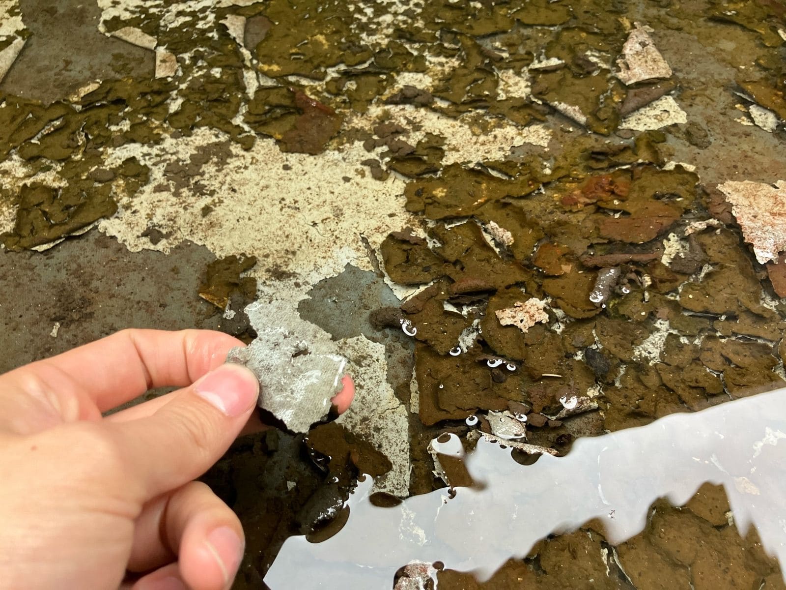 防水劣化