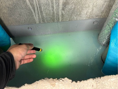 緑の調査液の反応