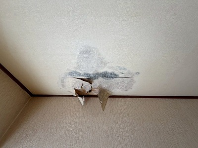 破れた天井の雨漏り跡