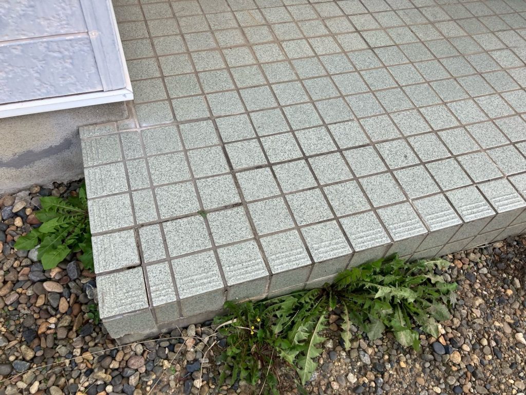 玄関ポーチ脇の雑草