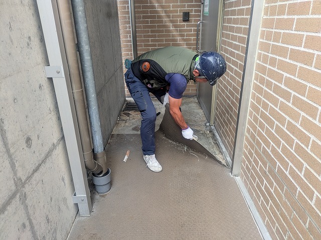 長尺シート剥がし作業