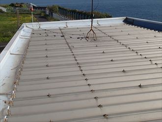 江東区新木場にてサーモアイSi(クールネオスカイブルー)で折板屋根の塗装工事を実施