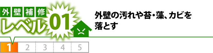 外壁補修レベル1外壁の汚れや苔、藻、カビを落とす