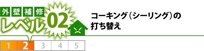 外壁補修レベル2コーキング(シーリングの打ち替え)