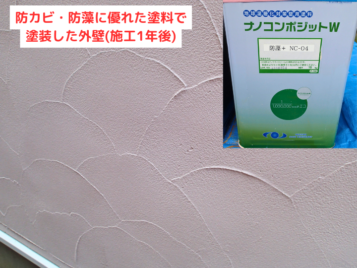 外壁に生えたコケ、放置は危険？効果的な落とし方と再発を防ぐポイント