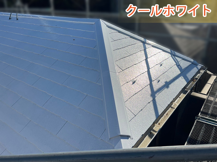 クールホワイト