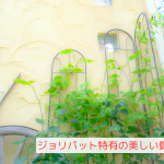 ジョリパット仕上げの外壁