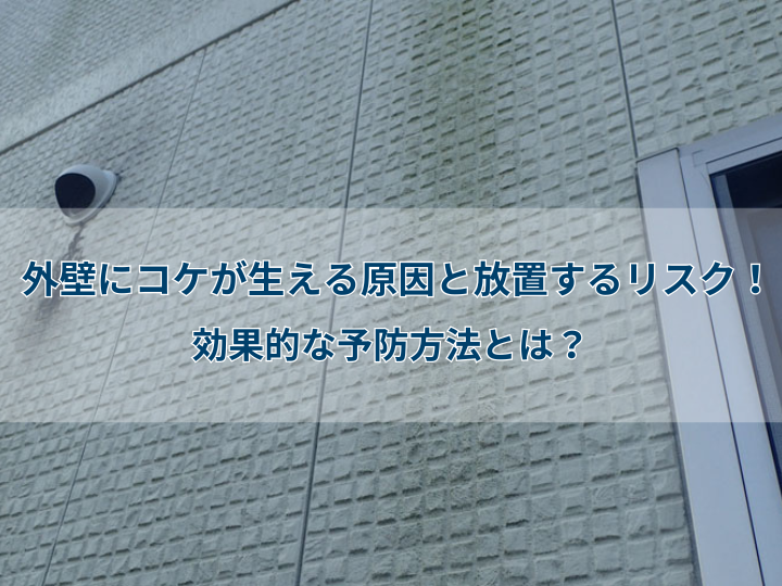 外壁にコケが生える原因と放置するリスク！効果的な予防方法とは？