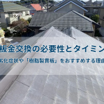 棟板金交換の必要性とタイミング|劣化症状や「樹脂製貫板」をおすすめする理由