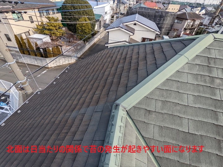 北面の苔