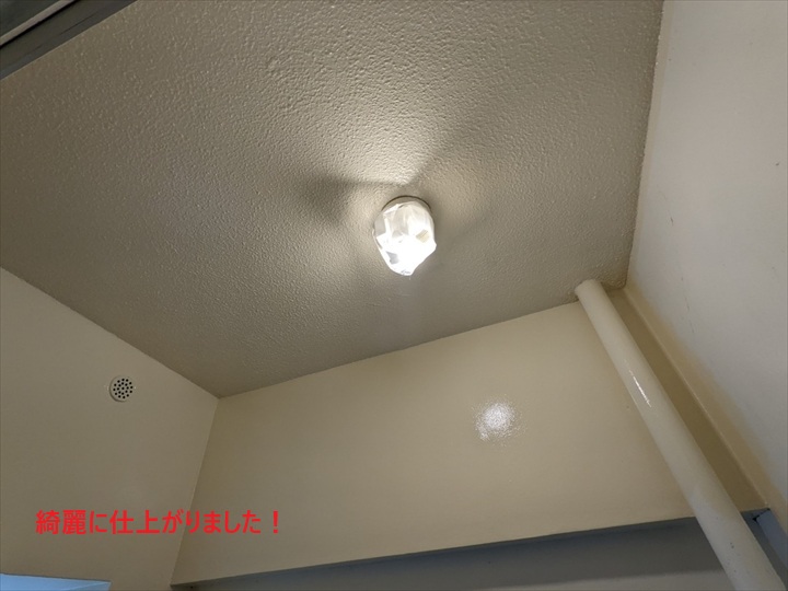 杉並区荻窪で行った浴室塗装工事｜カビ被害からの復旧と浴室塗装のデメリット