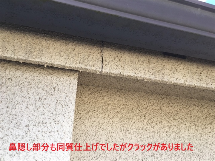 鼻隠しクラック