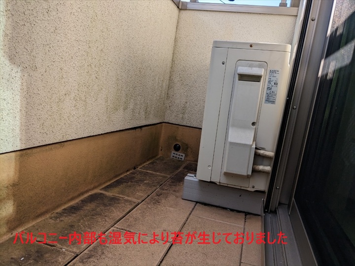 バルコニー腰壁の苔