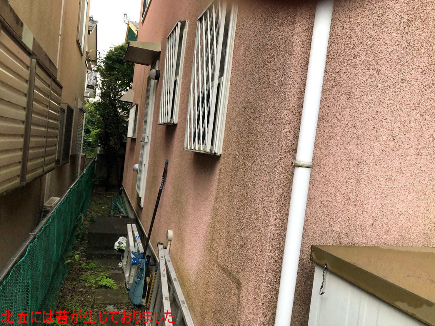 練馬区早宮で増えるモルタル外壁の劣化｜苔・チョーキングから見極める外壁メンテナンス時期