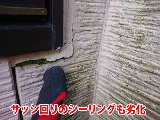 鎌倉市大町にて築16年になる外壁の調査、今後の雨漏り対策としてオートンイクシードを使用したメンテナンスをご提案