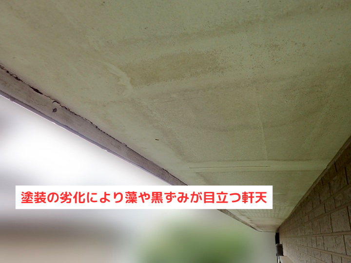 塗装の劣化により藻や黒ずみが目立つ軒天